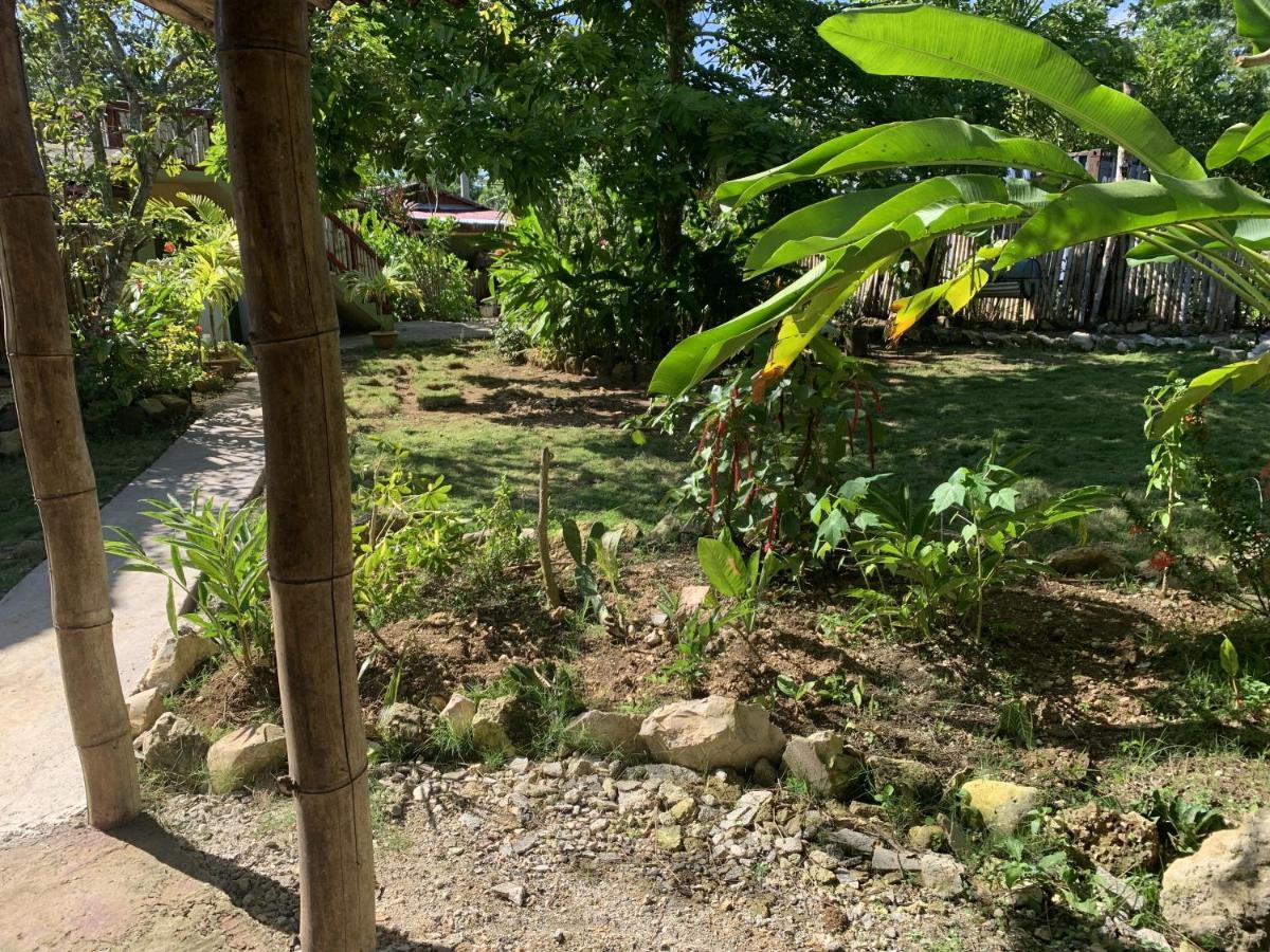 Can Jam Retreat Negril Buitenkant foto