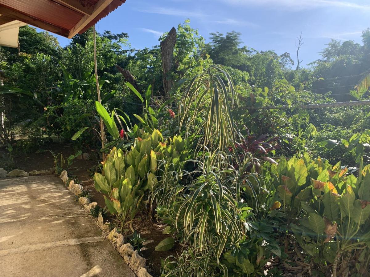 Can Jam Retreat Negril Buitenkant foto