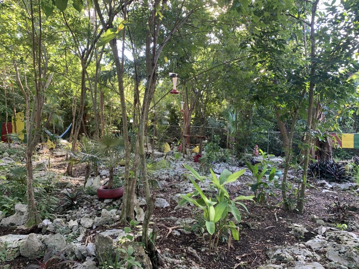 Can Jam Retreat Negril Buitenkant foto