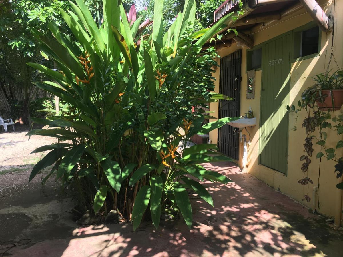 Can Jam Retreat Negril Buitenkant foto